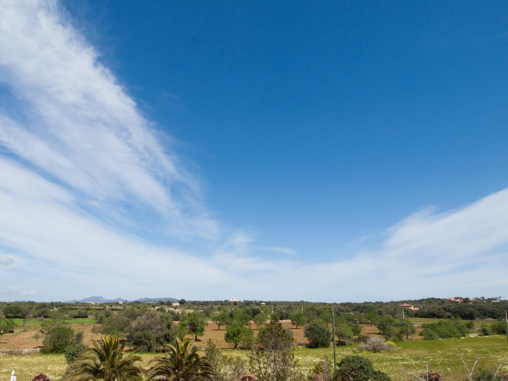 Agroturismo S Hort De Can Carrio Ag226 Ses Salines  Buitenkant foto